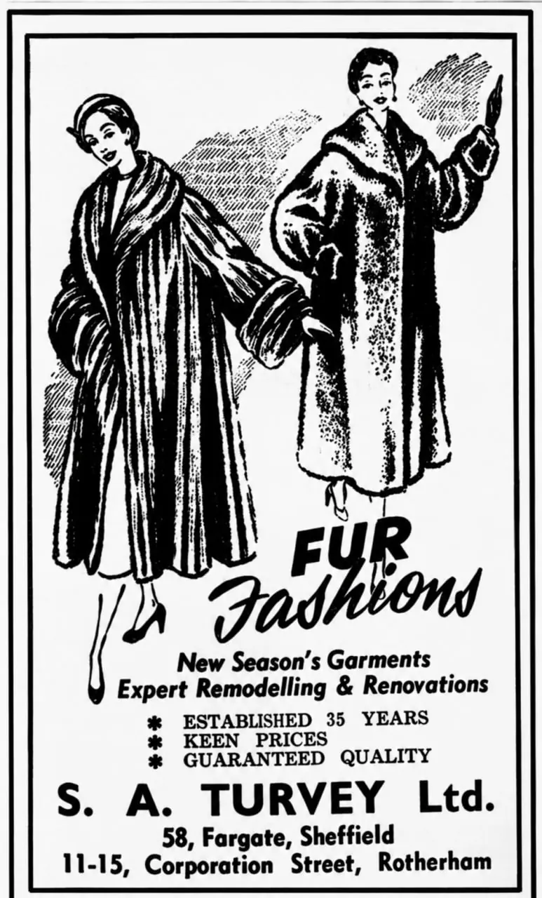 Newspaper advertisement headed 'Fur Fashions', with drawings of two women in long fur coats: new season's garments, expert remodelling and renovations, established 35 years, keen prices, guaranteed quality. S. A. Turvey Ltd, 58 Fargate, Sheffield and 11-15 Corporation Street, Rotherham.